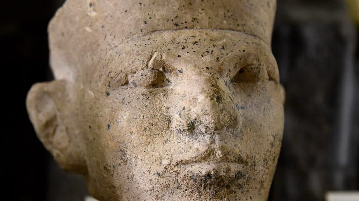 New forensic evidence supports Egyptian "retainer sacrifice"