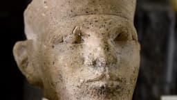 New forensic evidence supports Egyptian "retainer sacrifice"